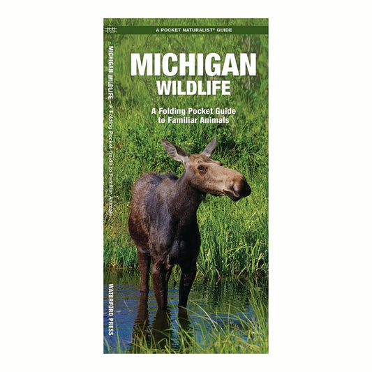 Michigan Wildlife